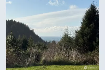 0 Lighthousekeepers Road, Ilwaco, WA 98624 - Photo 5