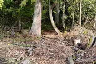 2270 S 7th Ave, Sequim, WA 98382 - Photo 35