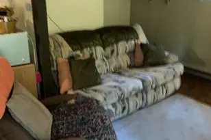 431 N Mt Seattle Way, Hoodsport, WA 98548 - Photo 5