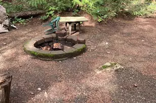 431 N Mt Seattle Way, Hoodsport, WA 98548 - Photo 13