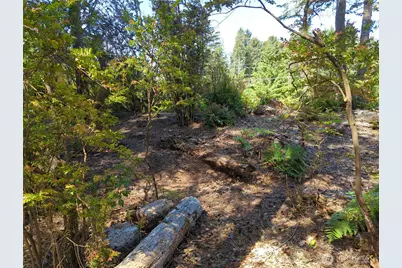 2100 266th Place, Ocean Park, WA 98640 - Photo 9