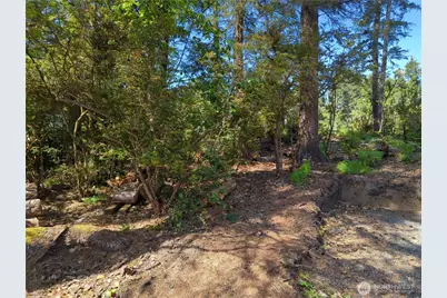 2100 266th Place, Ocean Park, WA 98640 - Photo 7