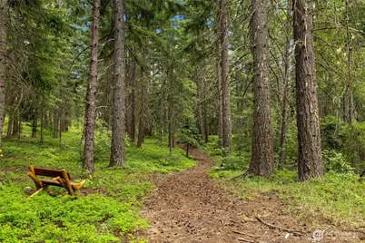 16341 Salmon La Sac Road, Ronald, WA 98940 - Photo 33