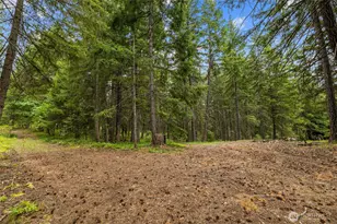 16341 Salmon La Sac Rd, Ronald, WA 98940 - Photo 35