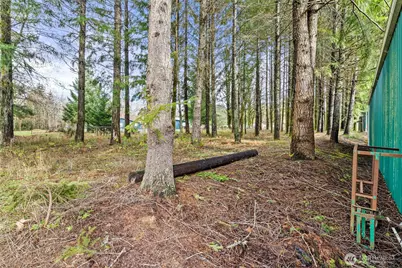 200 SE Clearwater Ridge, Shelton, WA 98584 - Photo 27