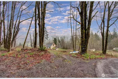 498 Bryant Hill Road, Woodland, WA 98674 - Photo 33