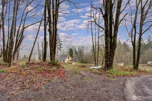 498 Bryant Hill Rd, Woodland, WA 98674 - Photo 33