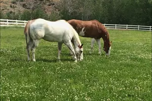 721 Selah Rdg Dr, Selah, WA 98942 - Photo 35