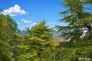 6908 31st Ave SW, Seattle, WA 98126 - Photo 33