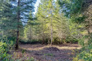222 X Octopus Ct, Quilcene, WA 98376 - Photo 1