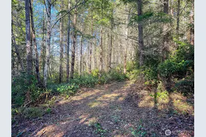 222 X Octopus Court, Quilcene, WA 98376 - Photo 17