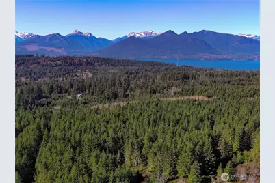 222 X Octopus Court, Quilcene, WA 98376 - Photo 19