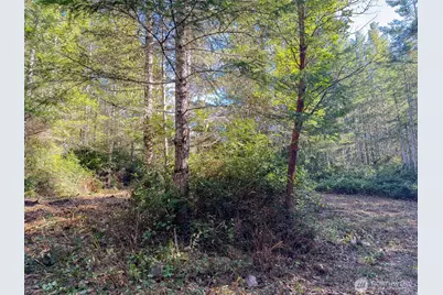 222 X Octopus Court, Quilcene, WA 98376 - Photo 11