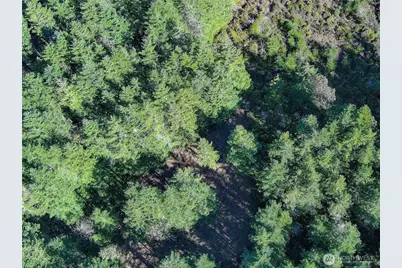 222 X Octopus Court, Quilcene, WA 98376 - Photo 21