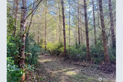 222 X Octopus Court, Quilcene, WA 98376 - Photo 13