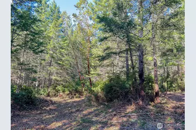 222 X Octopus Court, Quilcene, WA 98376 - Photo 5