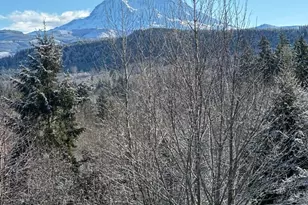 655 Joy St, Eatonville, WA 98328 - Photo 39