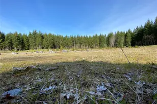 0 Xxx 250th Ave E, Orting, WA 98360 - Photo 1