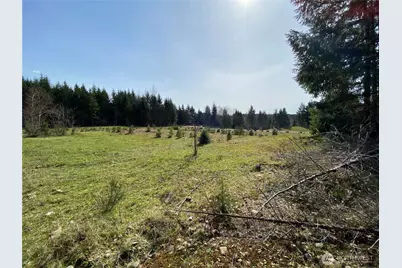 0 Xxx 250th Ave E, Orting, WA 98360 - Photo 5