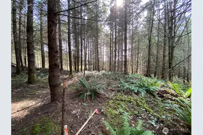 0 Xxx 250th Ave E, Orting, WA 98360 - Photo 3