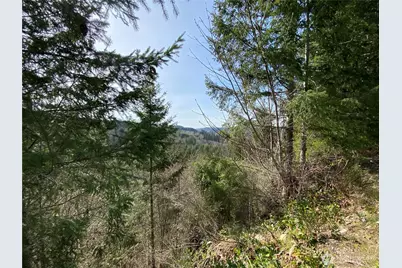 0 250th Ave E, Orting, WA 98360 - Photo 1