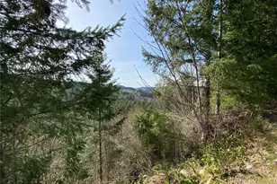 0 250th Ave E, Orting, WA 98360 - Photo 1