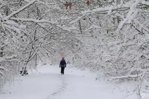 15512 Country Club Dr, Mill Creek, WA 98012 - Photo 31