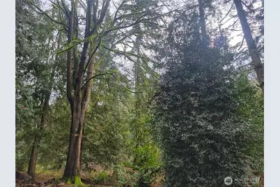 5603 E Lake Bosworth Drive, Snohomish, WA 98290 - Photo 9