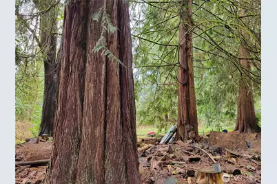 5603 E Lake Bosworth Drive, Snohomish, WA 98290 - Photo 5