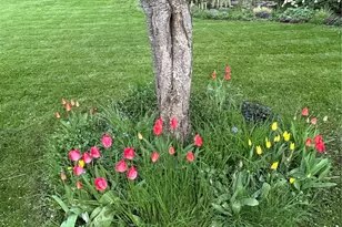 520 Grandview Dr, Sequim, WA 98382 - Photo 37