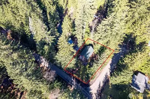 214 Paradise Dr, Ashford, WA 98304 - Photo 25