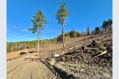 4223 183rd Avenue Ct SW, Longbranch, WA 98351 - Photo 27