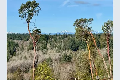 4223 183rd Avenue Ct SW, Longbranch, WA 98351 - Photo 1