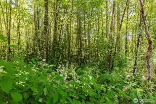 11 Lot Cassie Pl NW, Poulsbo, WA 98370 - Photo 1