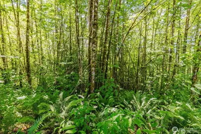 11 Lot Cassie Place NW, Poulsbo, WA 98370 - Photo 3