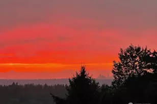 5525 Highland Dr, Bellevue, WA 98006 - Photo 7
