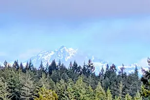 11108 Bliss Cochrane Rd NW, Gig Harbor, WA 98329 - Photo 7