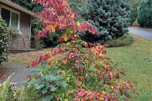 23601 71st Dr SE, Woodinville, WA 98072 - Photo 35