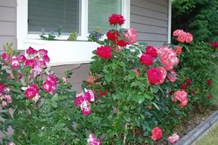 23601 71st Dr SE, Woodinville, WA 98072 - Photo 3