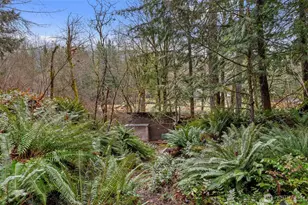 155 Nisqually Way, Ashford, WA 98304 - Photo 19