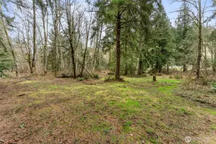 31530 SE 384th St, Enumclaw, WA 98022 - Photo 33