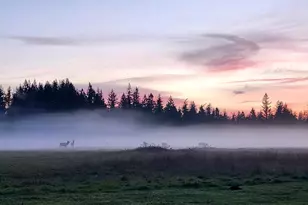 31530 SE 384th St, Enumclaw, WA 98022 - Photo 39