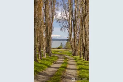 2553 A Cattle Point Road, Friday Harbor, WA 98250 - Photo 11