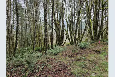 461 Clearwater Road, Kelso, WA 98626 - Photo 29