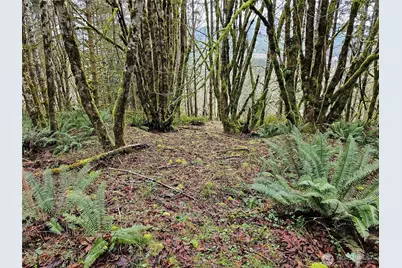 461 Clearwater Road, Kelso, WA 98626 - Photo 7