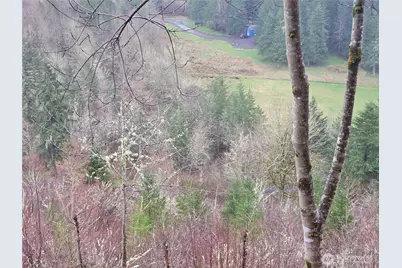 461 Clearwater Road, Kelso, WA 98626 - Photo 19