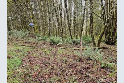 461 Clearwater Road, Kelso, WA 98626 - Photo 31