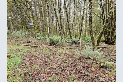 461 Clearwater Road, Kelso, WA 98626 - Photo 5