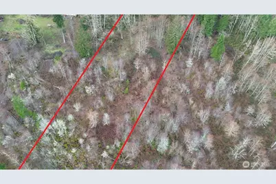 461 Clearwater Road, Kelso, WA 98626 - Photo 13