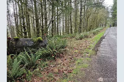 461 Clearwater Road, Kelso, WA 98626 - Photo 25